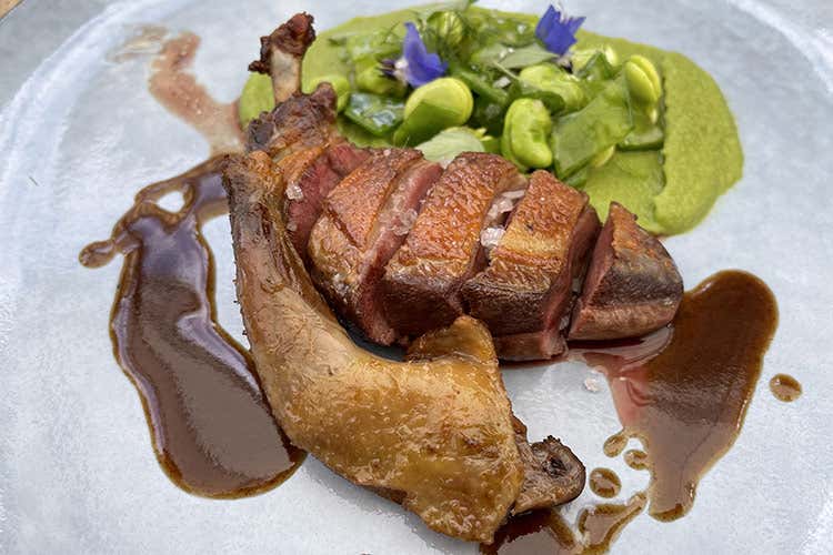 Manzo (Cucciniello, anagramma in cucina 
Tra trasgressione e comfort zone)