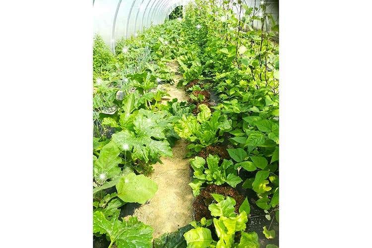 (Cucina genuina e creativa 
all'Agriturismo La Boschina)