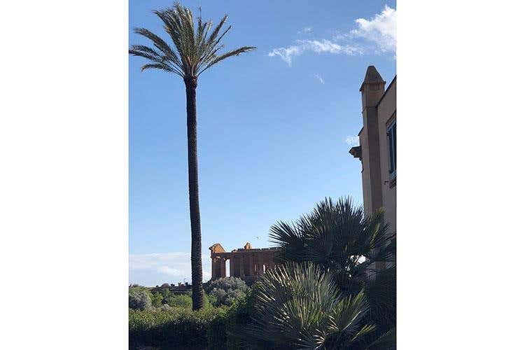 Cucina siciliana km zero al Villa Athena 5 stelle nel cuore della Valle dei Templi