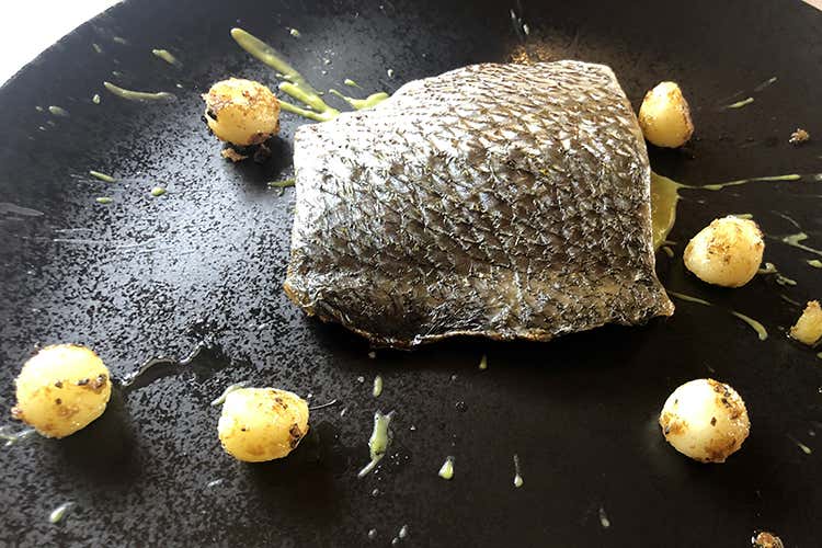 Ombrina al naturale, aromatizzata al Marsala, con patata noisette saltata alla francese e crema di zucchina (Cucina siciliana nel Chianti 
a Il Casale, da Giuseppe Lo Presti)