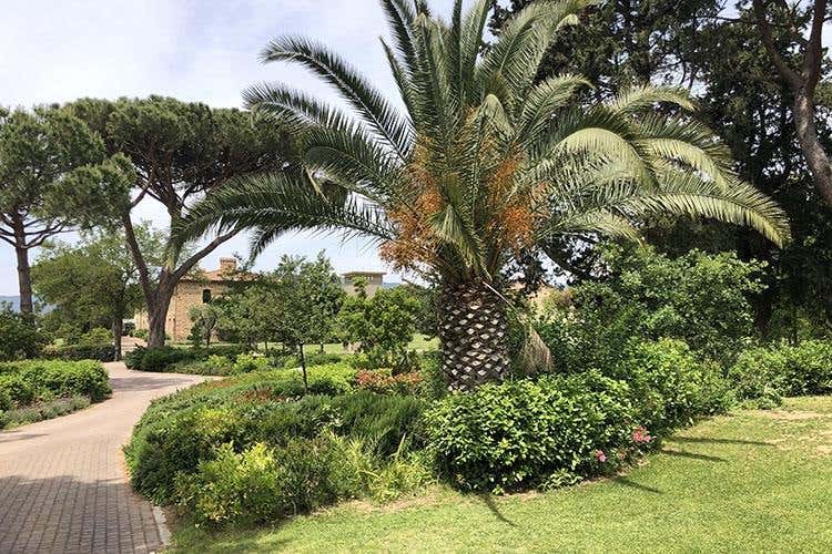 (Cucina toscana... alla brace 
Il tocco di Ortolani a L'Andana)