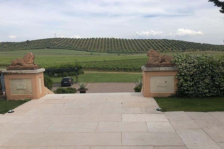 (Cucina toscana... alla brace 
Il tocco di Ortolani a L'Andana)