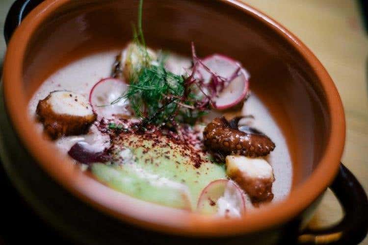 Polpo al barbeque, crema di fagioli borlotti, prezzemolo, rape