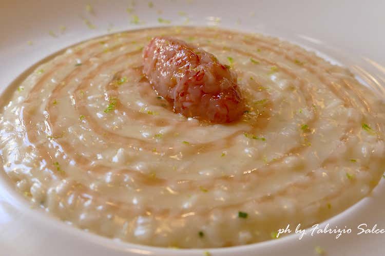 Risotto ai due franciacorta con battuto di gamberi rossi di Sicilia e lime (Da aspirante medico a chef 
Giannoni e il suo “Aroma” a Brescia)