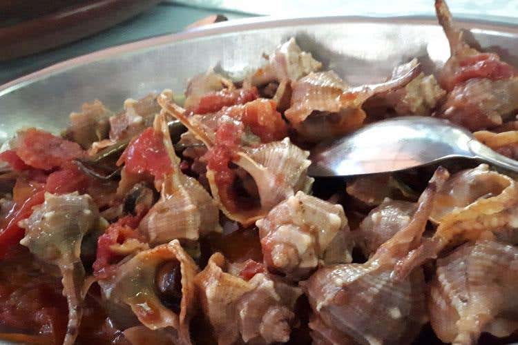 (Da Maria apre solo se lo decide il mare 
Per il Brodetto garantisce Marchesi)