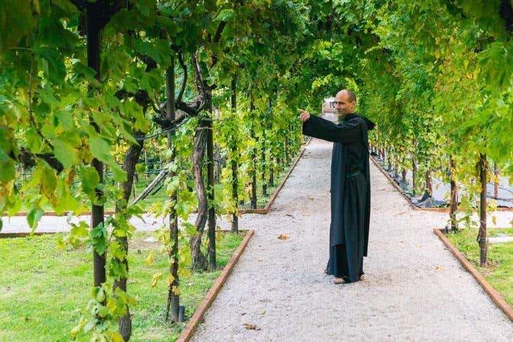 (Dai vigneti del Convento S.Maria 
rinasce il vino dei Carmelitani Scalzi)
