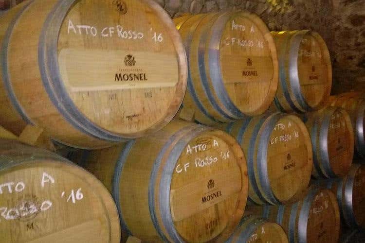 (Dai vini franciacortini ai limoni del Garda 
Alla scoperta dei sapori lombardi)