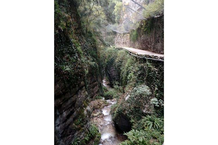 (Dai vini franciacortini ai limoni del Garda 
Alla scoperta dei sapori lombardi)