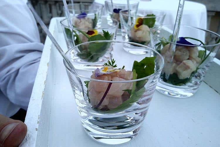 Tartare di salmerino di fonte con Extravergine Dop del Garda (Dal lago di Garda al mondo intero 
Un altro passo per dare dignità ai rosati)