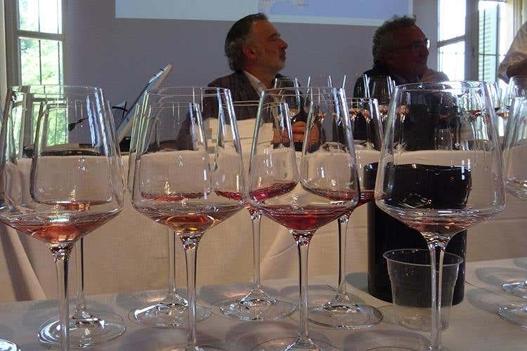 (Dal lago di Garda al mondo intero 
Un altro passo per dare dignità ai rosati)