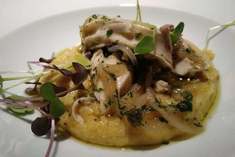 Luccio alla Gardesana con polentina del Garda bresciano dal Mulino di Bedizzole (Dal lago di Garda al mondo intero 
Un altro passo per dare dignità ai rosati)