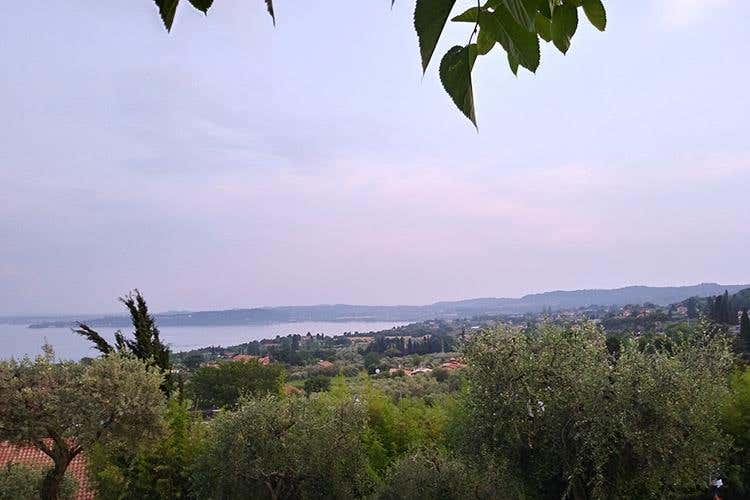 (Dal lago di Garda al mondo intero 
Un altro passo per dare dignità ai rosati)