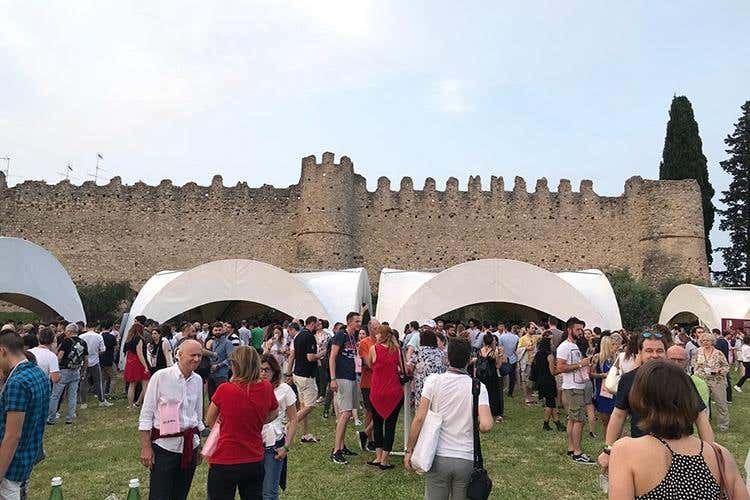 Italia in Rosa (Dal lago di Garda al mondo intero 
Un altro passo per dare dignità ai rosati)