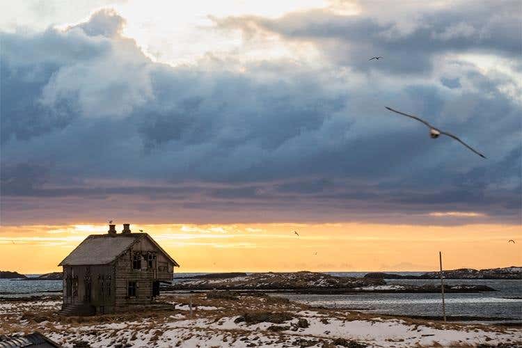 (Dal mare della Norvegia 
l’eccellenza dello stoccafisso)