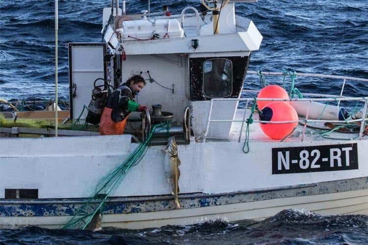 (Dal mare della Norvegia 
l’eccellenza dello stoccafisso)