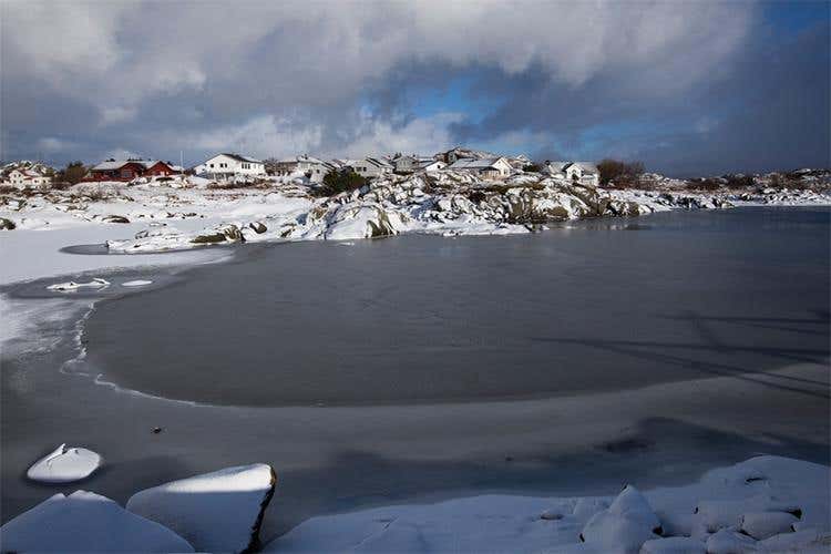 (Dal mare della Norvegia 
l’eccellenza dello stoccafisso)