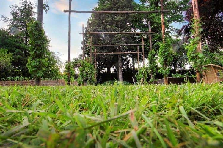 Foto 17