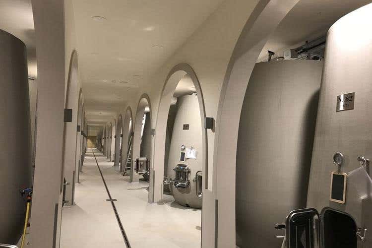 (Dievole, cuore argentino nel Chianti 
Olio, vino e legame con la terra)