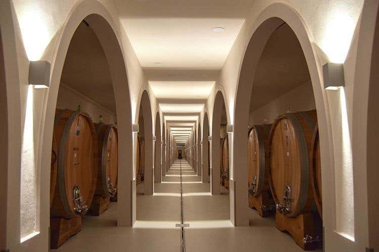 (Dievole, da cantina a wine resort 
Ospitalità ed enoturismo in Toscana)