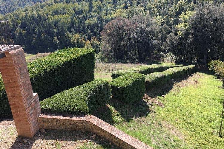 (Dievole, da cantina a wine resort 
Ospitalità ed enoturismo in Toscana)