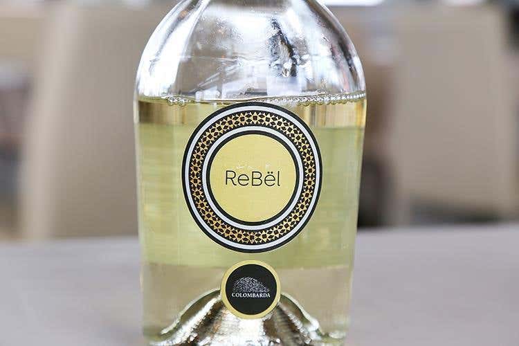 (Domenica al Quarto Piano di Rimini 
Silver Succi fa tornare bambini)