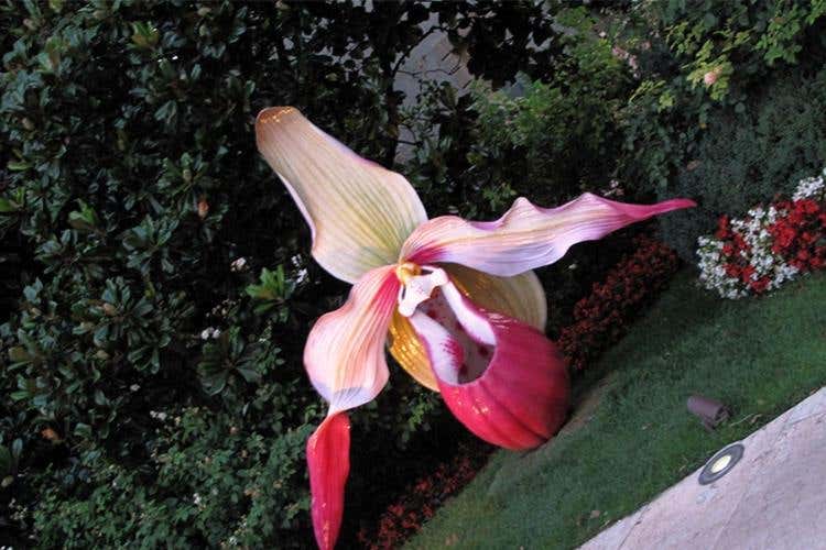 Foto 8