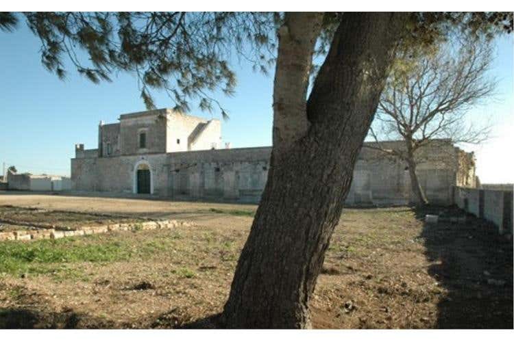 Campagna salentina