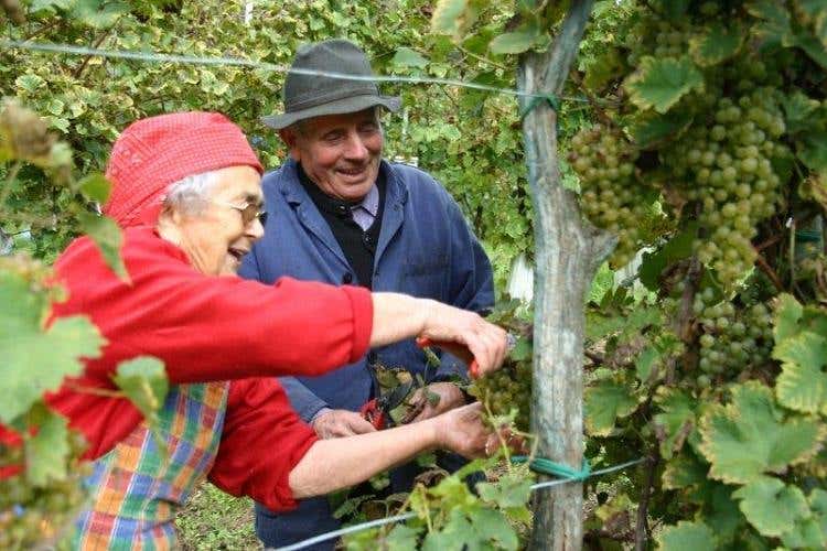 Afra e Tiziano Nardi