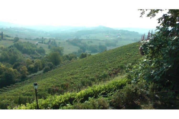 Poggio Ridente