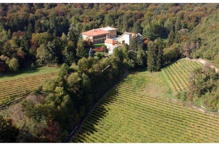Villa Margon vista dall'alto