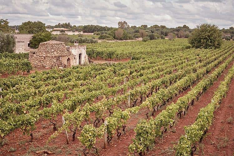 Valle del Sessantanni - Edda, Sessantanni e Masseria Samia 
San Marzano, il bello della Puglia