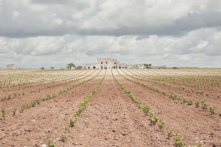 Masseria Samia - Edda, Sessantanni e Masseria Samia 
San Marzano, il bello della Puglia