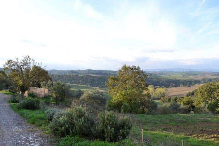 Foto 23