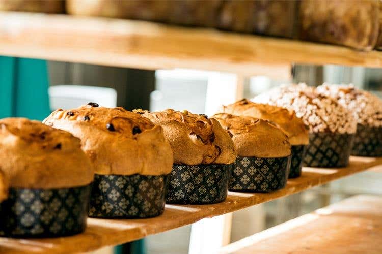 Ernst Knam svela i segreti 
del suo panettone classico