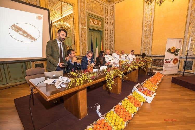 (Euro-Toques, 1° Congresso Sicilia 
Presentata la Guida 2019 con 242 soci)