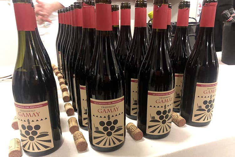 Gamay Trasimeno Doc 2018 La Cantina del Prevosto (Euro-Toques, cena solidale sold out 
Derflingher: È bello dare una mano)