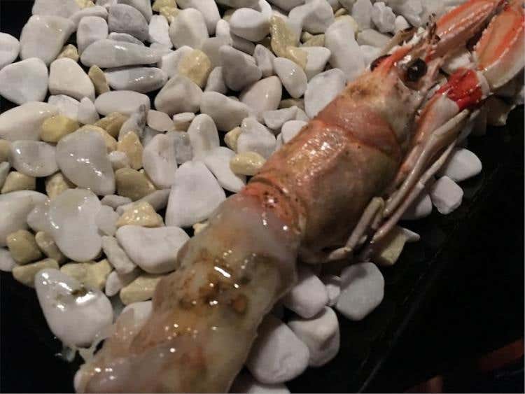 Scampo, geraldton wax e lardo