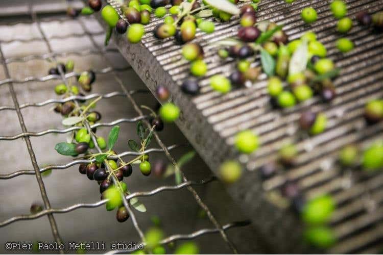 Credito foto: Pier Paolo Metelli studio