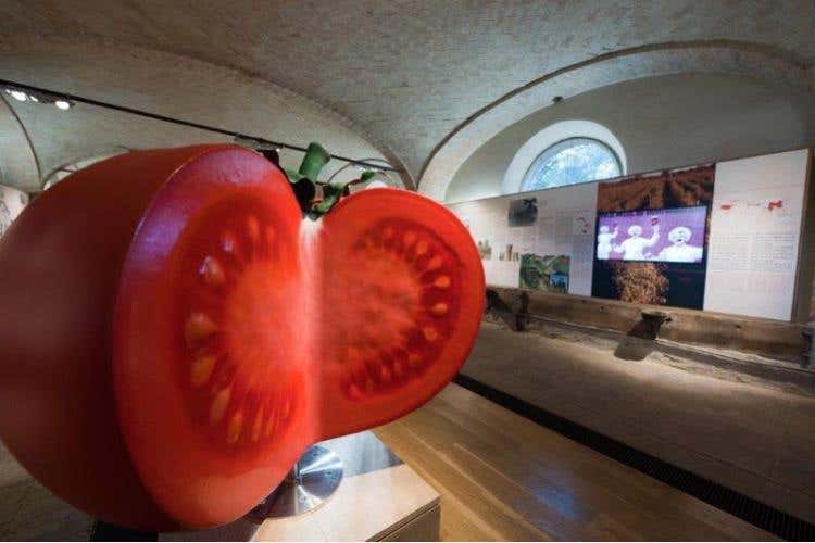 Museo del Pomodoro