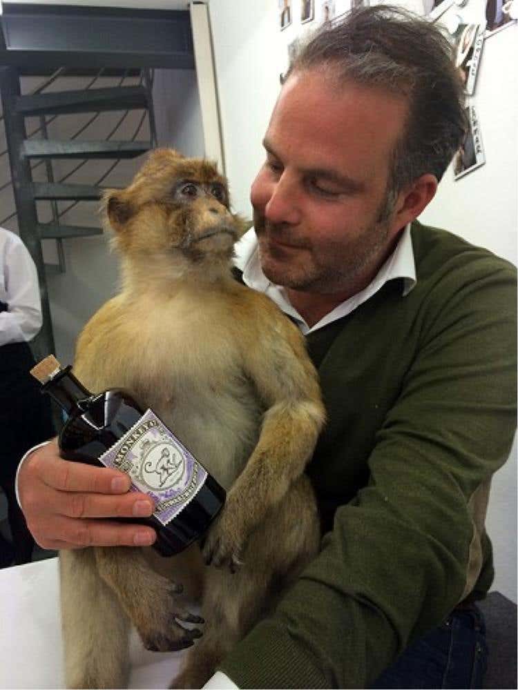 Alexander Stein, titolare