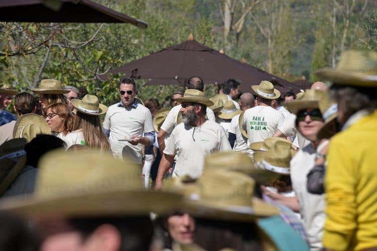 (Ferragamo, vino e arte a Il Borro 
Binomio vincente nella tenuta toscana)