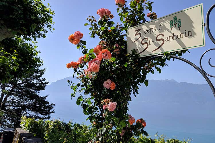 (La Fête des Vignerons 
Cose da fare una volta nella vita)