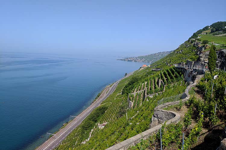 (La Fête des Vignerons 
Cose da fare una volta nella vita)