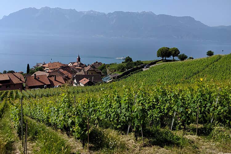 (La Fête des Vignerons 
Cose da fare una volta nella vita)