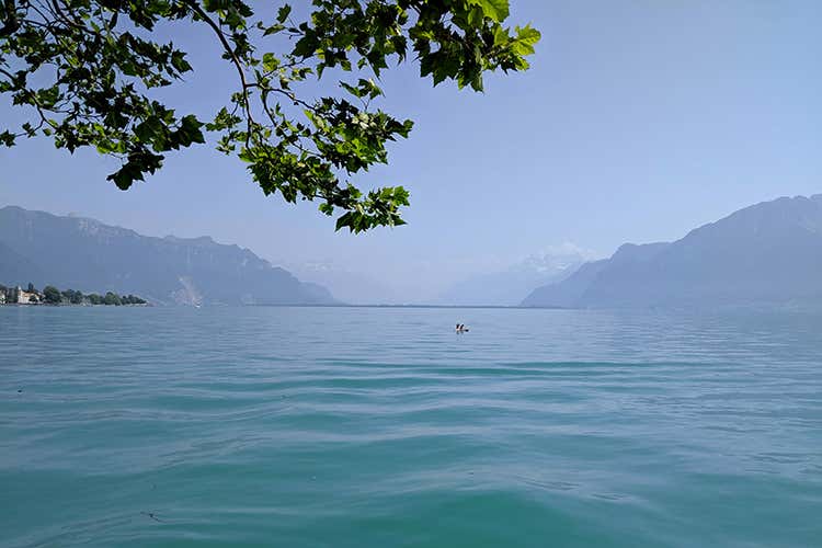 (La Fête des Vignerons 
Cose da fare una volta nella vita)
