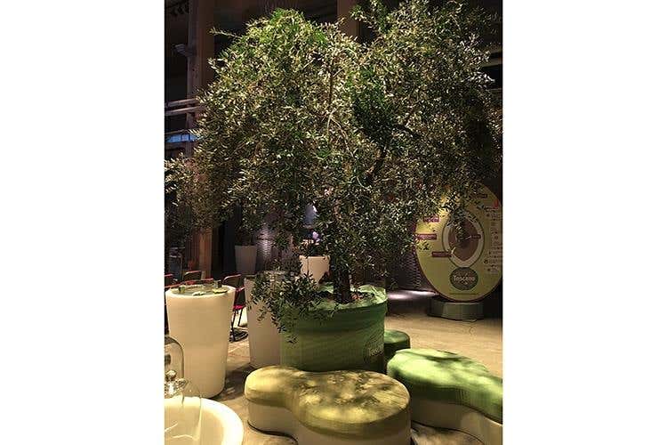 (Food&Wine in Progress 
11mila visitatori, il settore fa squadra)