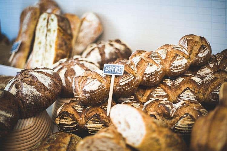 (Formazione con Molino Grassi 
Il pane secondo Ezio Marinato)