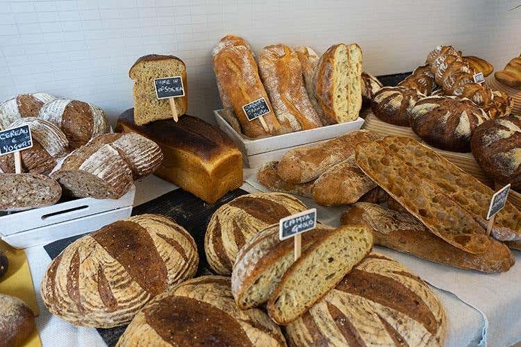 (Formazione con Molino Grassi 
Il pane secondo Ezio Marinato)