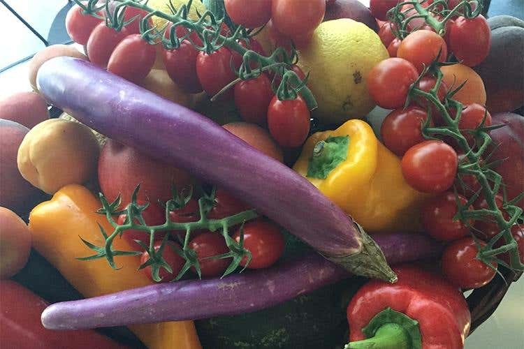 Fruit24! Conerpo promuove l'ortofrutta Campagna informativa al secondo anno