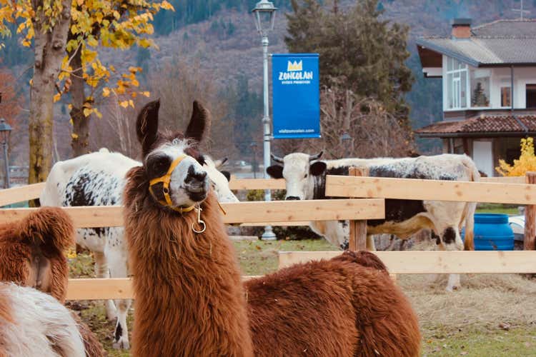 (Fums, profums, salums & Formandi
A Sutrio la festa del gusto)